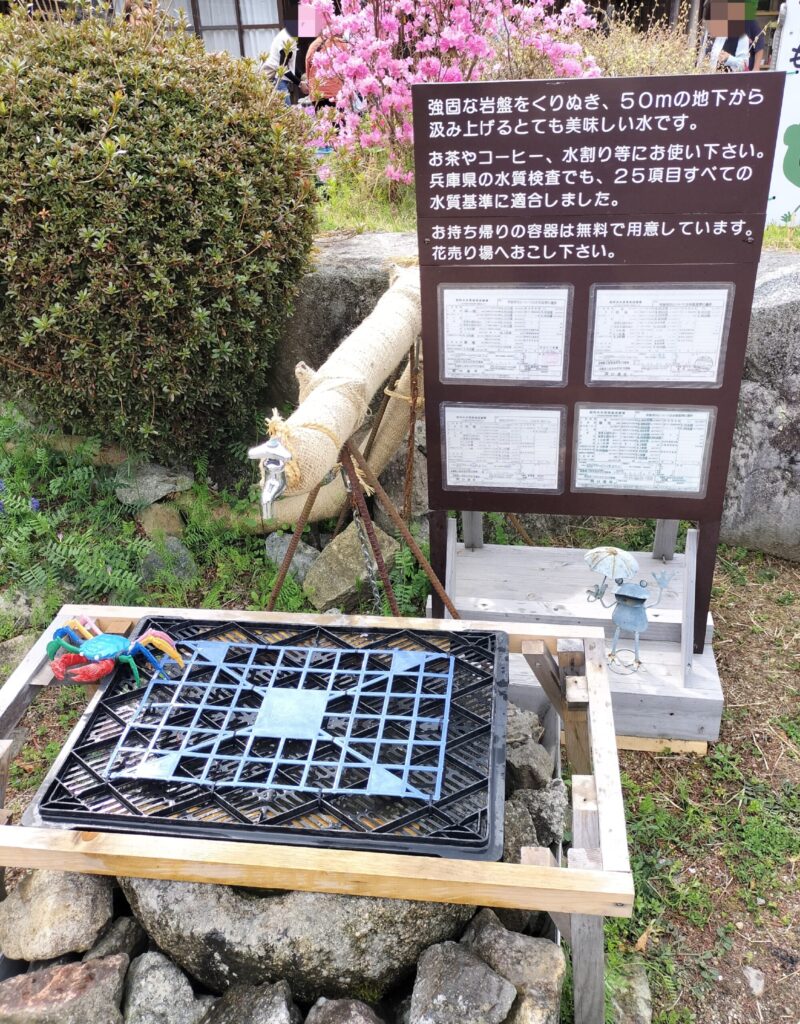 花のじゅうたん　水